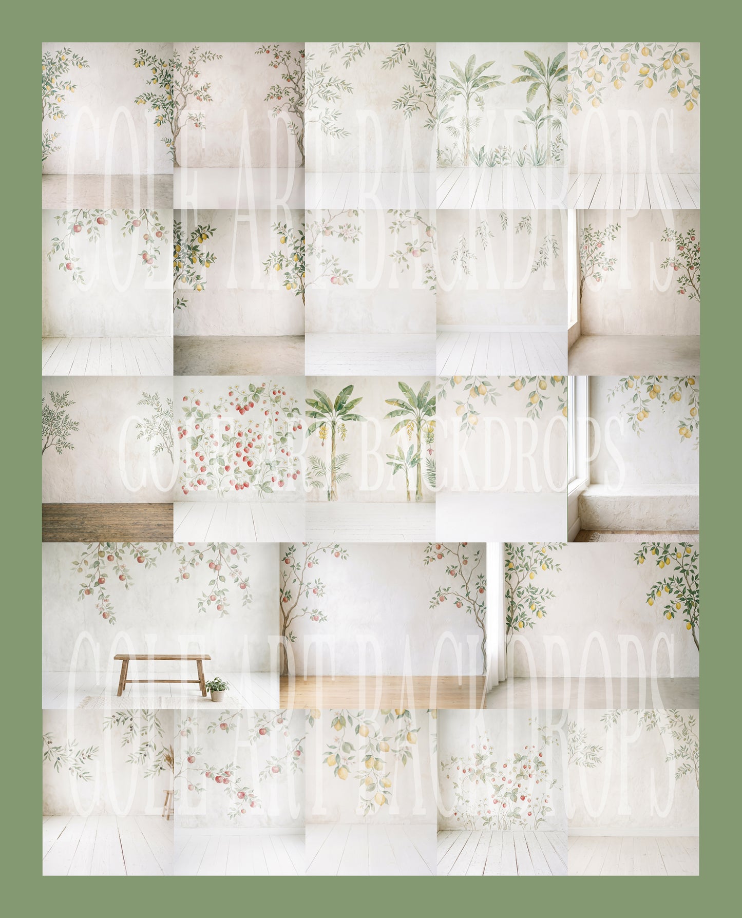 Fruit Branches Digital Backdrop Set