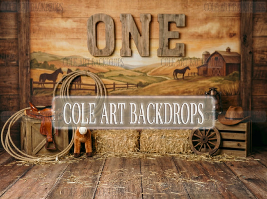 Baby Cowboy 1, Newborn Digital Backdrops, Baby Backdrop, Newborn Background