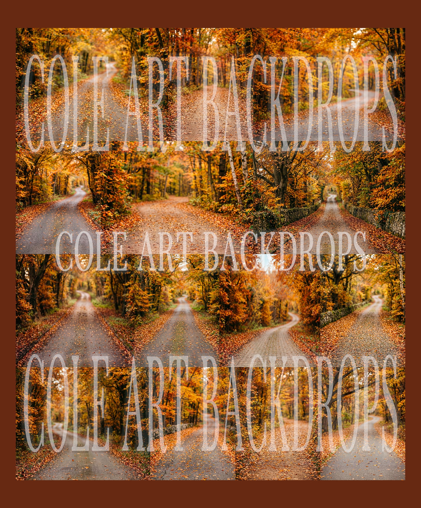 Autumn Vibes Digital Backdrop Set