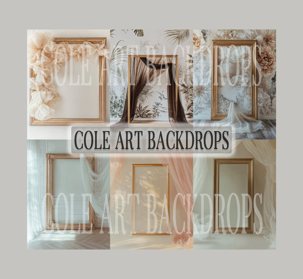 Wallpaper Gold Frames Digital Backdrop Set – Cole Art Backdrops
