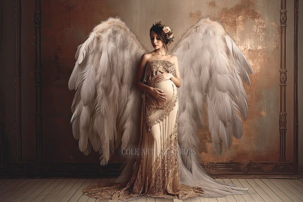 White Fluffy Angel Wings Digital Overlays, Maternity Backdrop Overlays ...