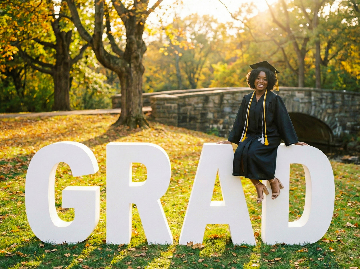 The Graduates 1 Digital Backdrop Set