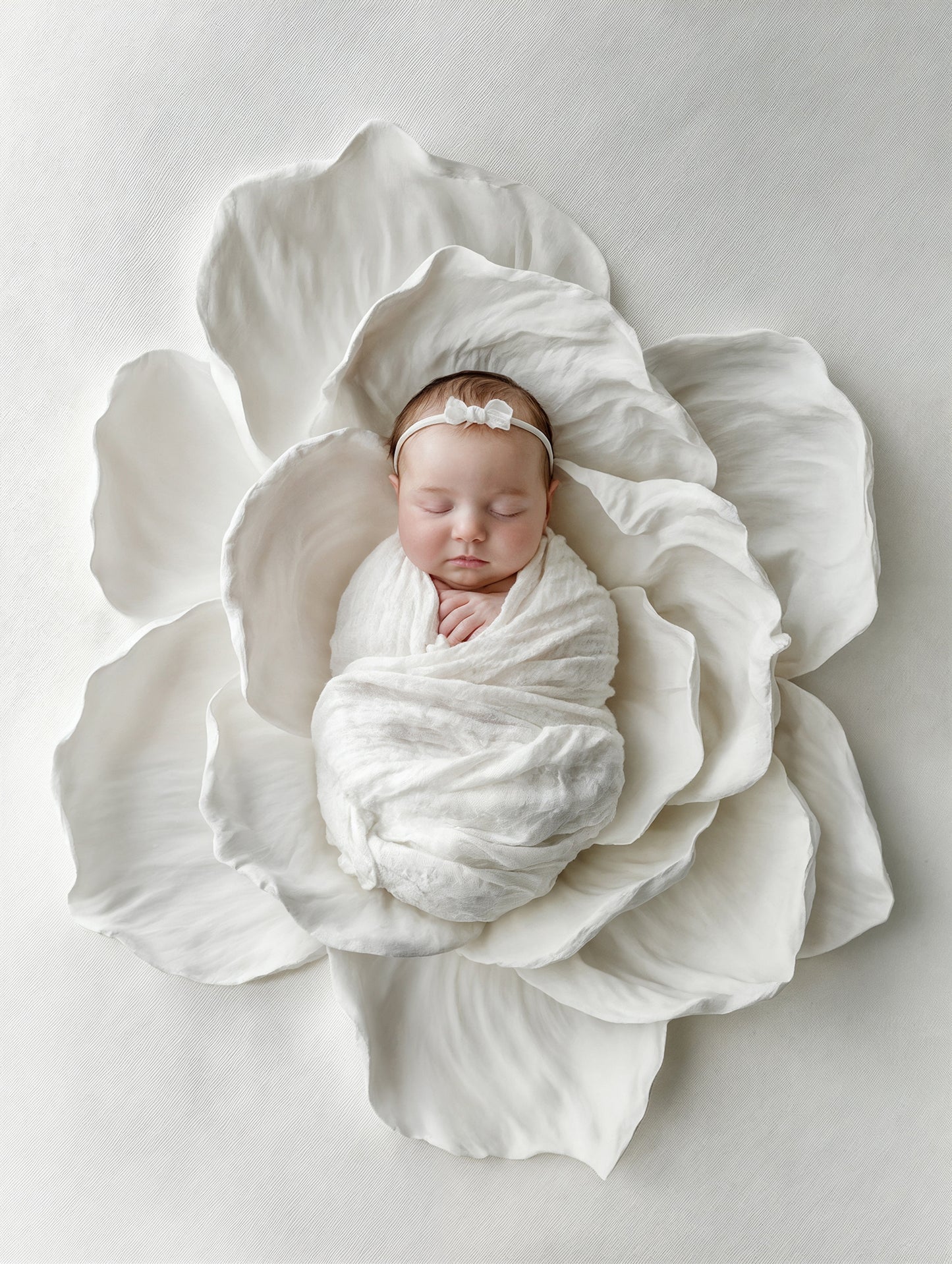 Clay Floral Neutrals Newborn Digital Backdrops, Newborn Background Set