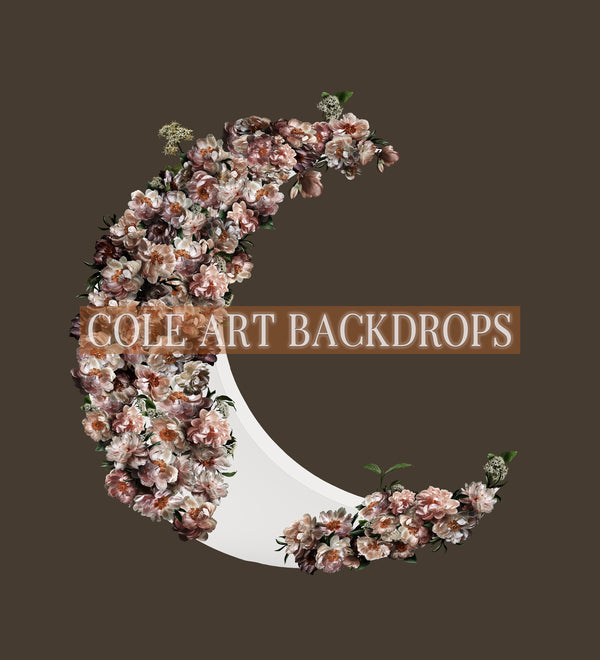 Midnight Crescent Moon Overlay, Maternity Backdrop Overlays, Studio Ba ...